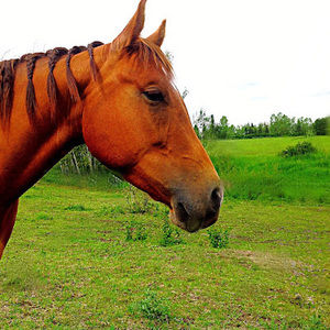 Meet your Posher, Vanessa